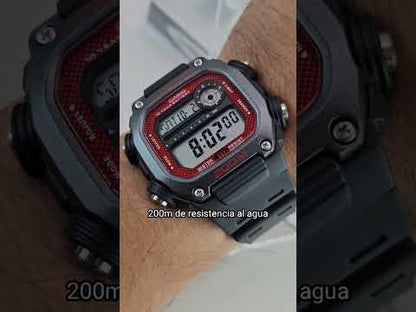 Reloj Casio DW-291H-1BV